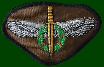 South store Africa (SADF) Special Forces (Recce) 3rd Prototype Beret Badge